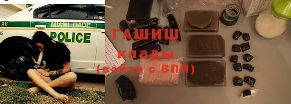 стаф Алзамай