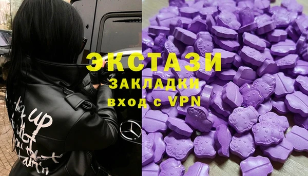 стаф Алзамай