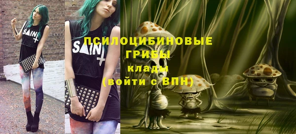 стаф Алзамай
