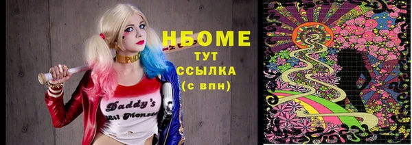 стаф Алзамай