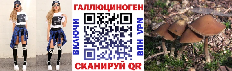 Псилоцибиновые грибы GOLDEN TEACHER  Новая Ляля 